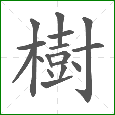 樹的笔顺