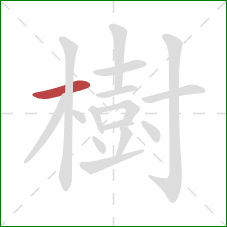 樹的笔顺第1画：横