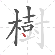 樹的笔顺第11画：点