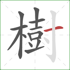樹的笔顺第14画：横
