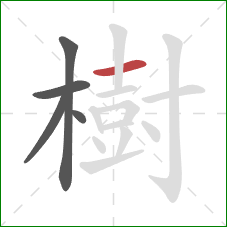 樹的笔顺第5画：横