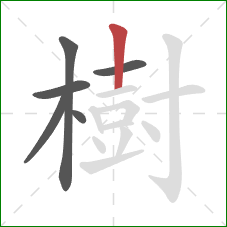 樹的笔顺第6画：竖