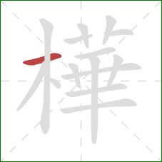 樺的笔顺第1画：横