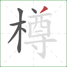 樽的笔顺第6画:撇 樽的笔顺第6画:撇