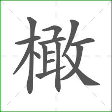 橄的笔顺 橄的笔顺