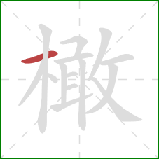 橄的笔顺第1画:横 橄的笔顺第1画:横