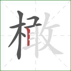 橄的笔顺第7画:竖 橄的笔顺第7画:竖
