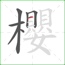 櫻的笔顺第7画：横