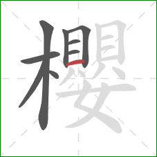 櫻的笔顺第9画：横
