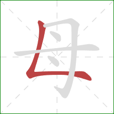 母的笔顺第1画：竖折