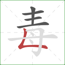 毒的笔顺第5画：竖折