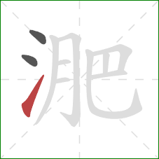 淝的笔顺第3画:提 淝的笔顺第3画:提