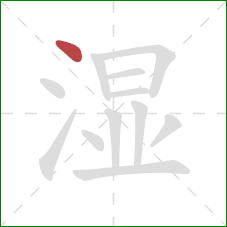 湿的笔顺第1画：点