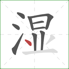 湿的笔顺第10画：点