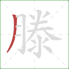 滕的笔顺第1画：撇