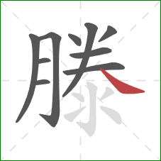 滕的笔顺第10画：捺