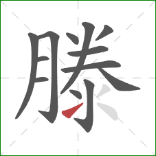 滕的笔顺第13画：提