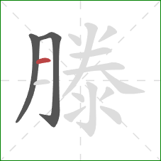 滕的笔顺第3画：横