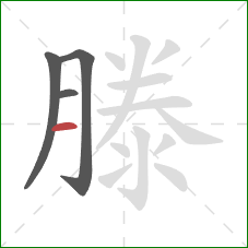 滕的笔顺第4画：横