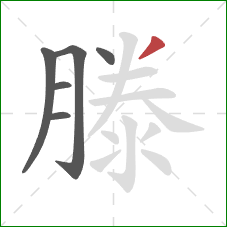 滕的笔顺第6画：撇