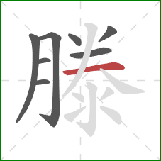 滕的笔顺第8画：横