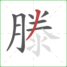 滕的笔顺第9画：撇