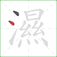 濕的笔顺第2画：点