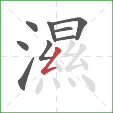 濕的笔顺第9画：撇折