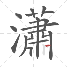 瀟的笔顺第19画：横