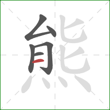 熊的笔顺第6画：横