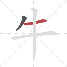 牛的笔顺第2画：横