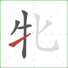 牝的笔顺第4画：提