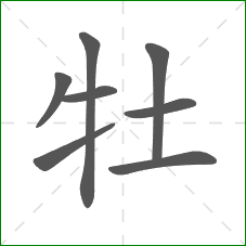 牡的笔顺