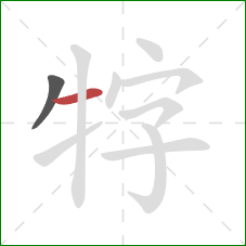 牸的笔顺第2画:横 牸的笔顺第2画:横