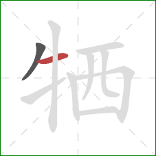 牺的笔顺第2画：横