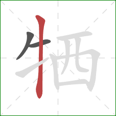 牺的笔顺第3画：竖