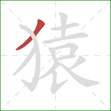 猿的笔顺第1画：撇