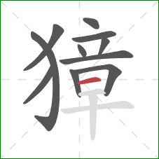 獐的笔顺第11画：横