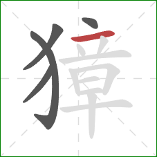 獐的笔顺第5画：横