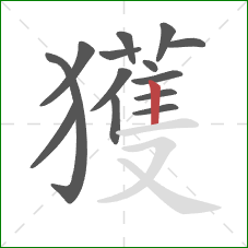 獲的笔顺第14画：竖