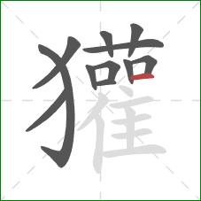 獾的笔顺第12画:横 獾的笔顺第12画:横