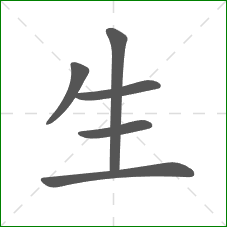 生的笔顺