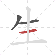 生的笔顺第3画：横