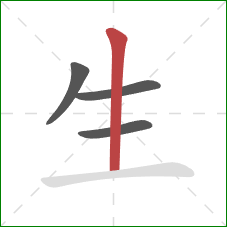 生的笔顺第4画：竖