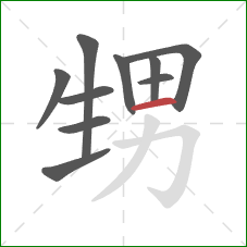 甥的笔顺第10画：横