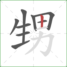 甥的笔顺第9画：竖