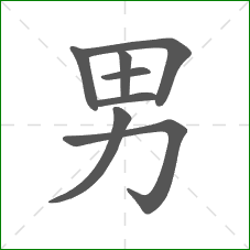 男的笔顺