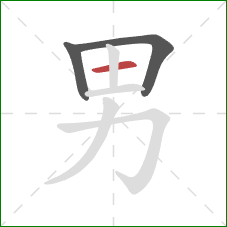 男的笔顺第3画：横