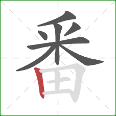 番的笔顺第8画：竖