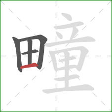 疃的笔顺第5画：横